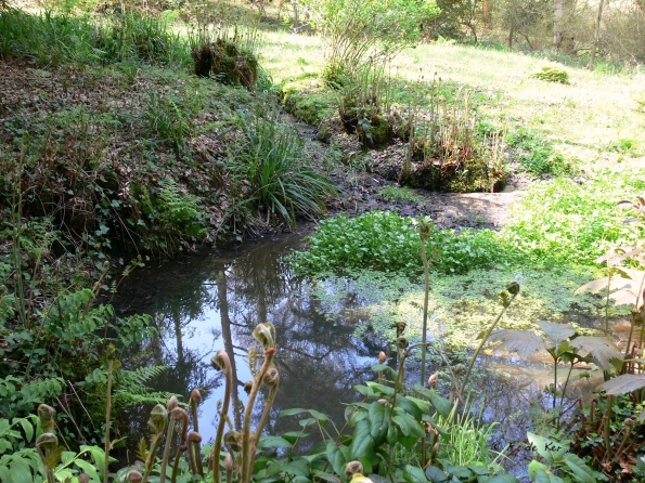 Bois des Moutiers (53) Mai 2012